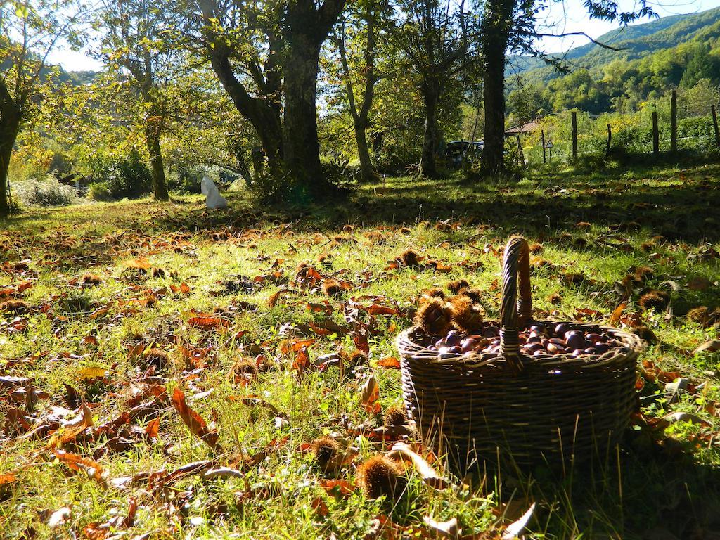 Agriturismo Casa Turchetti Comano  Экстерьер фото